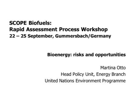 SCOPE Biofuels: Rapid Assessment Process Workshop 22 – 25 September, Gummersbach/Germany Bioenergy: risks and opportunities Martina Otto Head Policy Unit,
