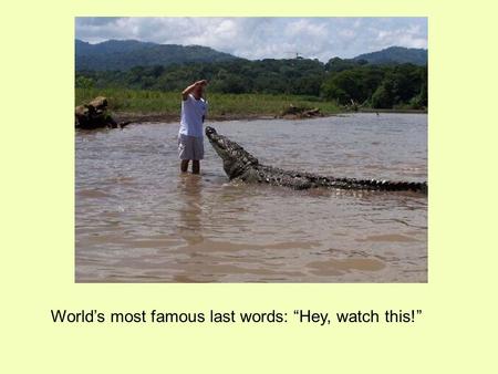 World’s most famous last words: “Hey, watch this!”