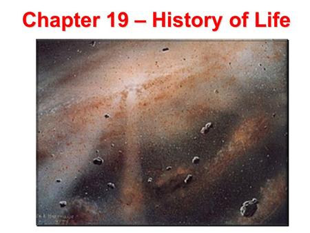Chapter 19 – History of Life