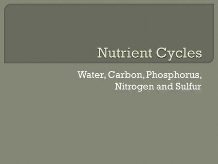 Water, Carbon, Phosphorus, Nitrogen and Sulfur.  Collects, purifies and distributes earth’s supply of water  Driven by evaporation (from oceans, lakes,