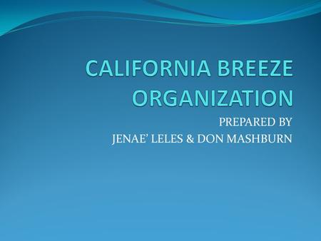 CALIFORNIA BREEZE ORGANIZATION