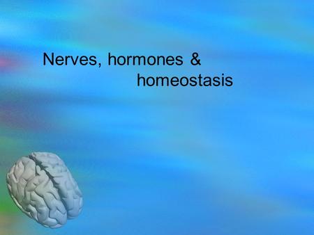 Nerves, hormones & homeostasis. 6.5.1 State that the nervous system consists of the central nervous system (CNS) and peripheral nerves, and is composed.