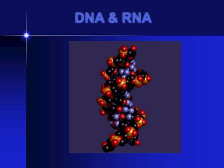 DNA & RNA DNA STRUCTURE Double Helix Phosphate ( PO4) Deoxyribose sugar Nitrogen Bases: A- adenine, C-cytosine, T-thymine, G-guanine.