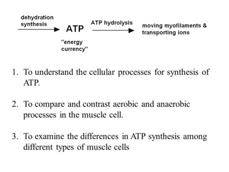 To understand the cellular processes for synthesis of ATP.