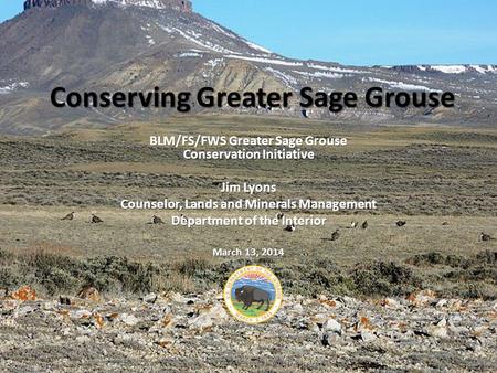Conserving Greater Sage Grouse BLM/FS/FWS Greater Sage Grouse Conservation Initiative Jim Lyons Counselor, Lands and Minerals Management Department of.