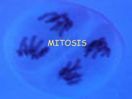 MITOSIS What is Mitosis? A period of nuclear cell division resulting in 2 daughter cells, each cell containing a COMPLETE set of chromosomes. Why does.