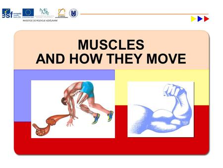 MUSCLES AND HOW THEY MOVE.