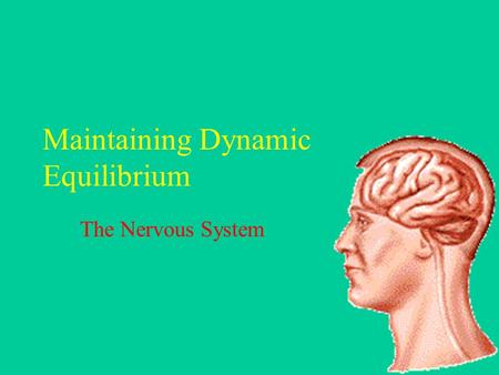 Maintaining Dynamic Equilibrium