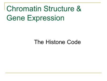 Chromatin Structure & Gene Expression The Histone Code.