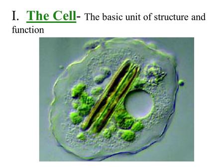 I. The Cell- The basic unit of structure and function.