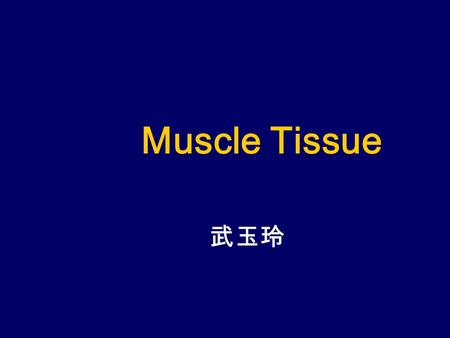 Muscle Tissue 武玉玲. Problems to solve 1.What are the general structures of skeletal muscle fiber? The general shape of skeletal muscle fiber is long cylindrical,1~40nm.