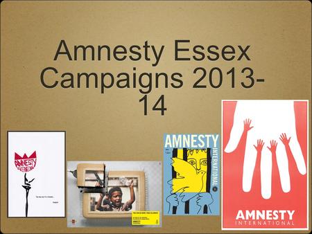 Amnesty Essex Campaigns 2013- 14. Pussy Riot! Russian feminist punk rock band 3 members imprisoned in 2012, after “Punk Prayer”, for “hooliganism motivated.