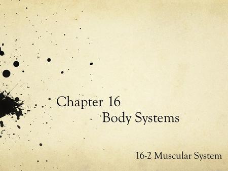 Chapter 16 Body Systems 16-2 Muscular System. Muscular System : Your muscular system is the group of structures that give your body the power to move.