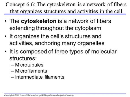 Concept 6.6: The cytoskeleton is a network of fibers that organizes structures and activities in the cell The cytoskeleton is a network of fibers extending.