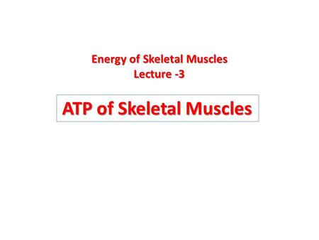 ATP of Skeletal Muscles