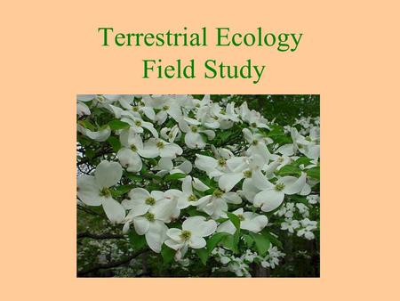 Terrestrial Ecology Field Study. Our Ecology Activity: A Terrestrial Site Study Ecology “oikos” = Home The study of land- based communities Environmental.