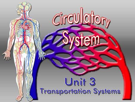 The CIRCULATORY System Unit 3 Transportation Systems.