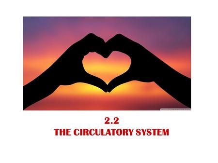 2.2 THE CIRCULATORY SYSTEM. Circulatory System Functions: -transports gases between the lungs and the cells -delivers nutrients to all cells in the body.