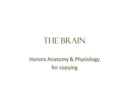 The brain Honors Anatomy & Physiology for copying.