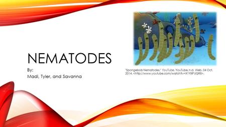 NEMATODES By: Madi, Tyler, and Savanna Spongebob Nematodes. YouTube. YouTube, n.d. Web. 04 Oct. 2014..