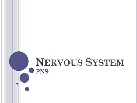N ERVOUS S YSTEM PNS. N EURONS Nervous tissue contains masses of nerve cells called neurons. Specialized to react to physical and chemical changes. Transmit.