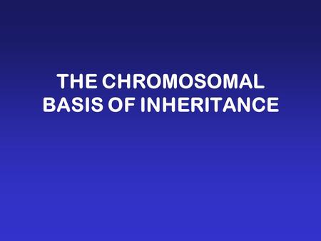 THE CHROMOSOMAL BASIS OF INHERITANCE