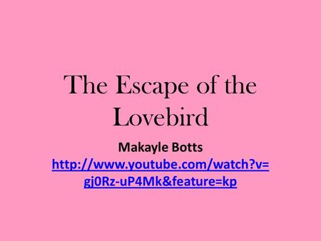 The Escape of the Lovebird Makayle Botts  gj0Rz-uP4Mk&feature=kp  gj0Rz-uP4Mk&feature=kp.