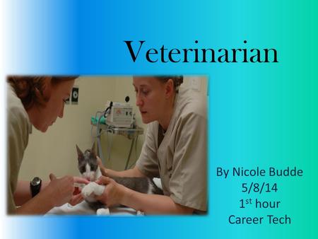 Veterinarian By Nicole Budde 5/8/14 1 st hour Career Tech.