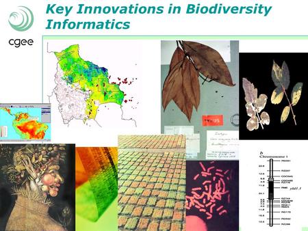 Key Innovations in Biodiversity Informatics. Opportunities (and challenges) for biodiversity information management in Brazil Biggest biodiversity in.