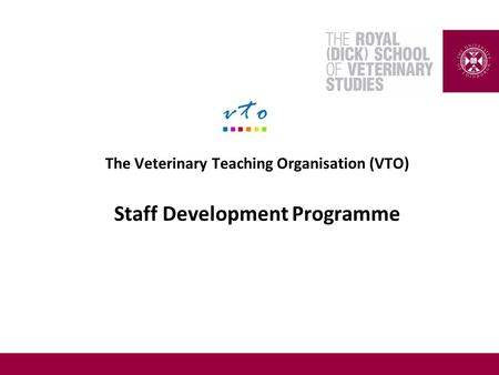 The Veterinary Teaching Organisation (VTO) Staff Development Programme.