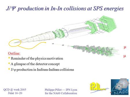 J/  production in In-In collisions at SPS energies Philippe Pillot — IPN Lyon for the NA60 Collaboration work 2005 June 16–20   Outline: Reminder.