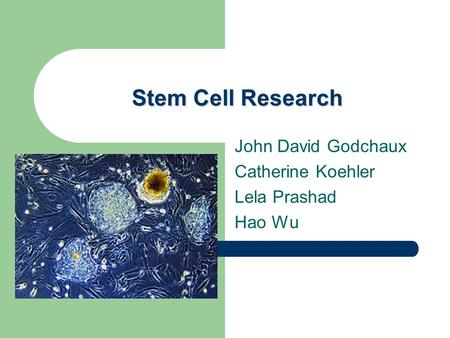 Stem Cell Research John David Godchaux Catherine Koehler Lela Prashad Hao Wu.