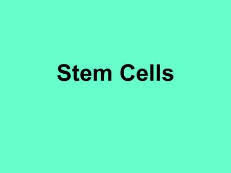 Stem Cells. What are Stem Cells? Stem Cells: Cells that do not yet have a specific function or job in the organism.
