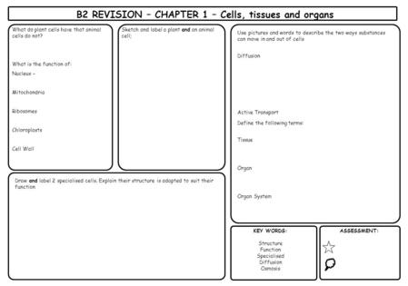 B2 REVISION – CHAPTER 1 – Cells, tissues and organs