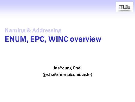 Naming & Addressing ENUM, EPC, WINC overview JaeYoung Choi