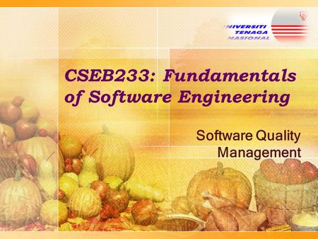 CSEB233: Fundamentals of Software Engineering Software Quality Management.