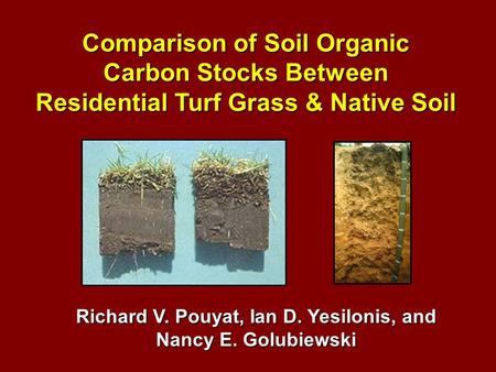 Comparison of Soil Organic Carbon Stocks Between