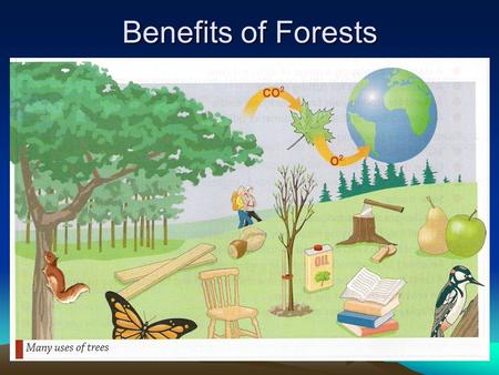 Benefits of Forests.