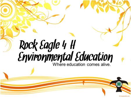 Rock Eagle 4-H Environmental Education Where education comes alive.