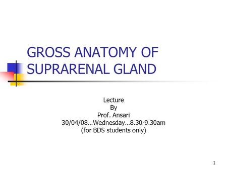 1 GROSS ANATOMY OF SUPRARENAL GLAND Lecture By Prof. Ansari 30/04/08…Wednesday…8.30-9.30am (for BDS students only)