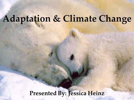 Adaptation & Climate Change Presented By: Jessica Heinz.