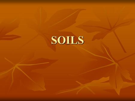SOILS What is Soil?? Soils are the transition between the biotic and abiotic worlds. Soil is a mixture of: 1. Minerals 2. Water 3. Gases 4. HUMUS-Dead.