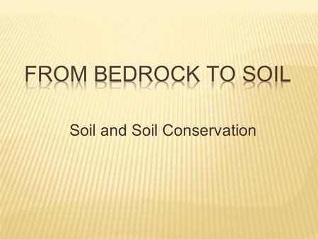 Soil and Soil Conservation