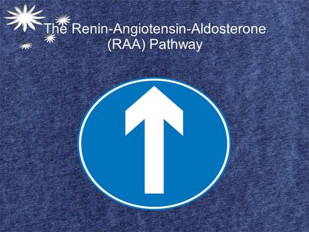 The Renin-Angiotensin-Aldosterone (RAA) Pathway. The First Stages Person is dehydrated, has a sodium ion deficiency or is hemorrhaging, any of these stimuli.