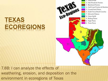 Texas Ecoregions 7.8B: I can analyze the effects of weathering, erosion, and deposition on the environment in ecoregions of Texas.