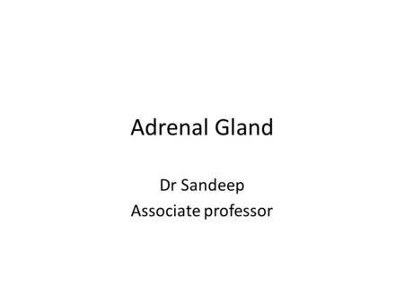 Adrenal Gland Dr Sandeep Associate professor. In human adrenal glands weigh ~4g, are located above upper pole of each kidney in the retroperitoneal space.