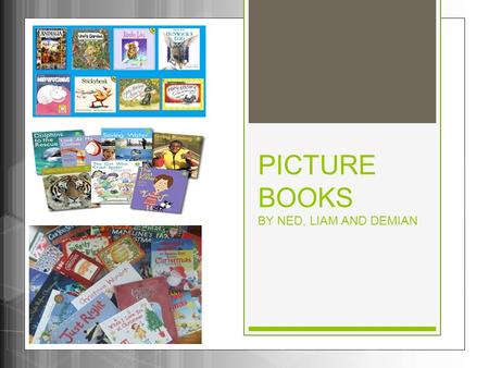 PICTURE BOOKS BY NED, LIAM AND DEMIAN. Introduction Picture books have many illustrations. Most of them are painted with water colours or drawn with pencil.