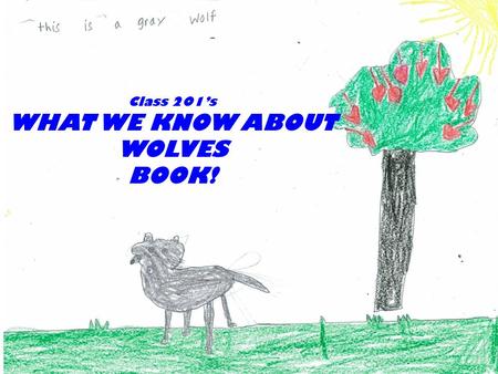 Wolves Class 201 PS 123 Class 201’s WHAT WE KNOW ABOUT WOLVES BOOK!