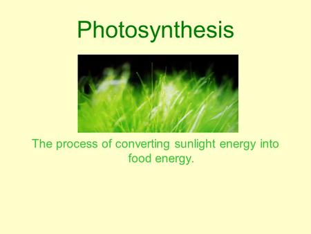 The process of converting sunlight energy into food energy.