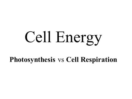 Cell Energy Photosynthesis vs Cell Respiration